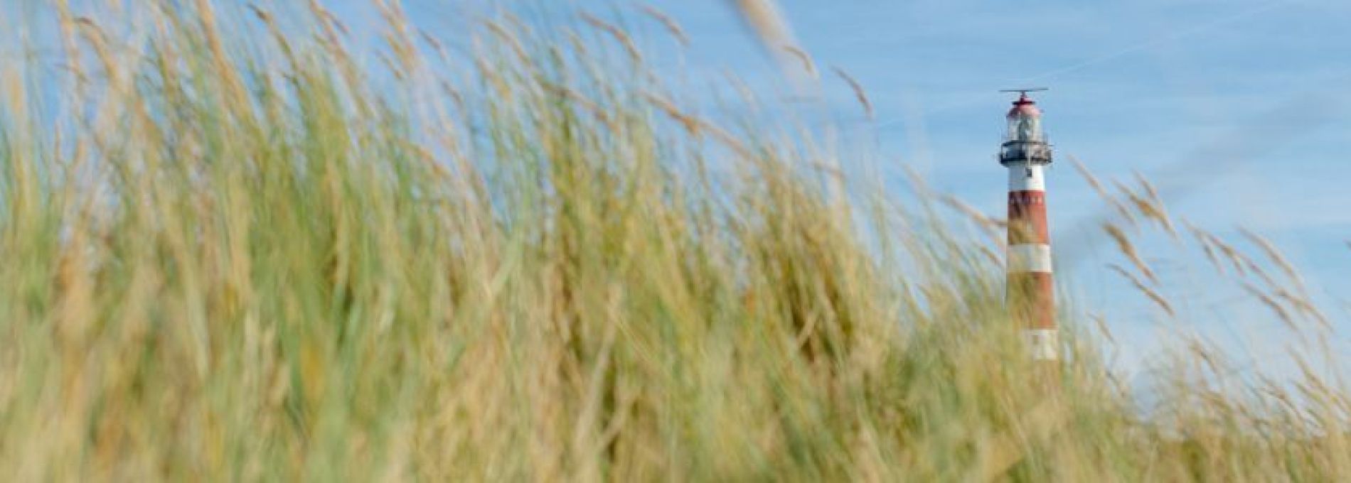 Hier finden Sie häufig gestellte Fragen über Ameland - VVV Ameland.