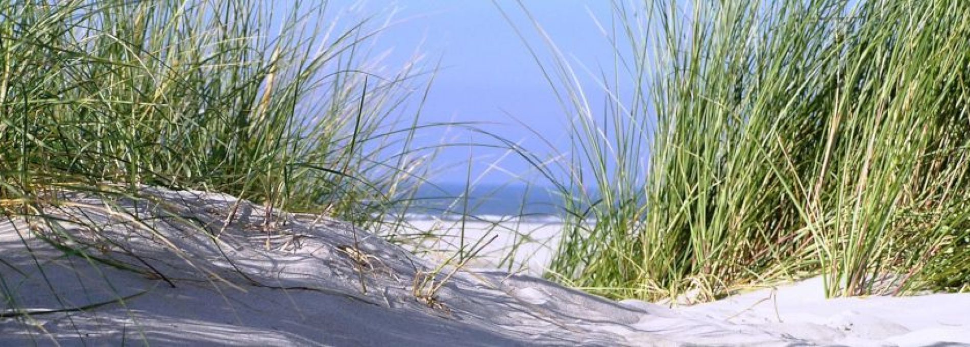 Häufig gestelte Fragen über Fährverkehr auf Ameland - VVV Ameland.