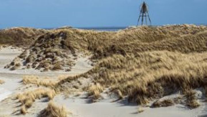 Häufig gestelte Fragen über annulieren auf Ameland - VVV Ameland