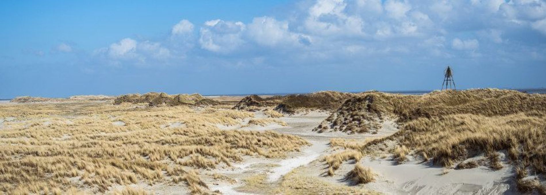 Häufig gestellte Fragen über Stornierungen beim VVV Ameland