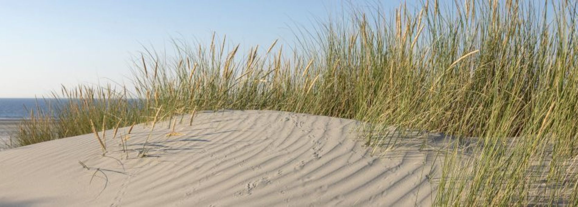 Häufig gestellte Fragen über Events und Aktivitäten auf Ameland - VVV Ameland