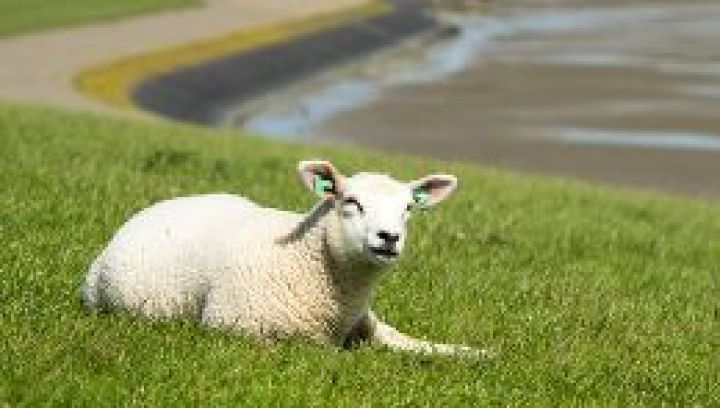 Häufig gestelte Fragen über Bezahlung auf Ameland - VVV Ameland.