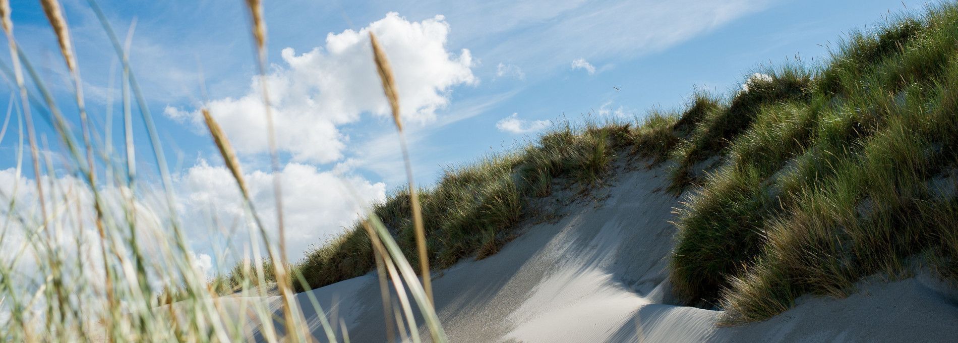 Ferienhäuser Hollum 5 - 6 Personen - VVV Ameland