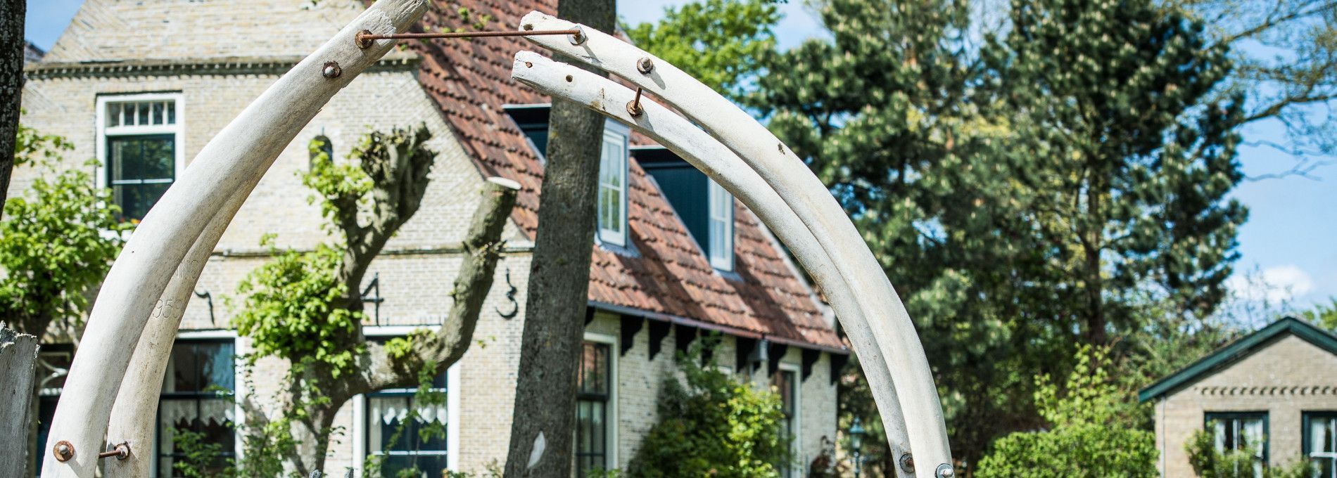 Appartements Hollum 6 oder mehr Personen - VVV Ameland