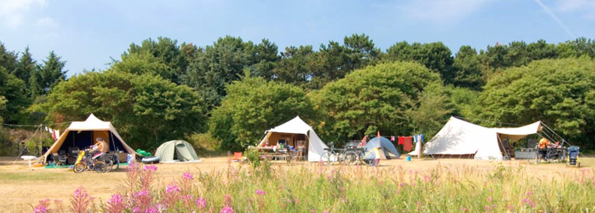 Zelten auf Ameland - VVV Ameland