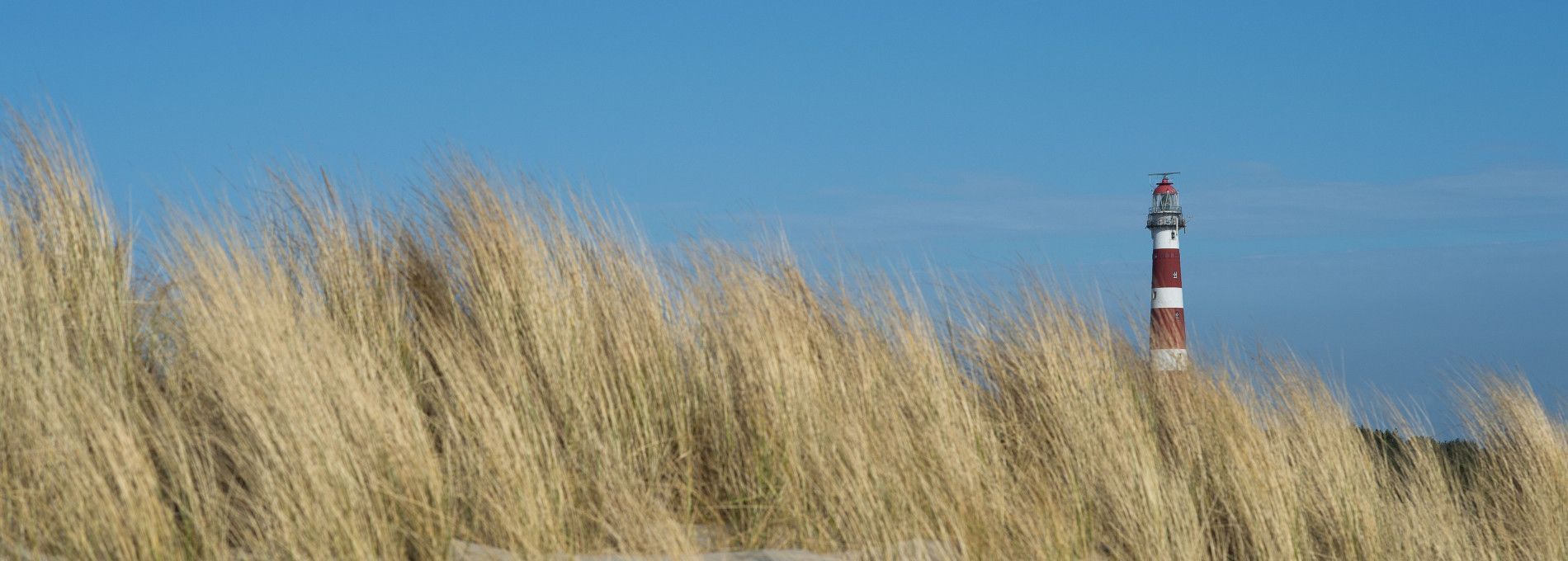 Gruppenhäuser Hollum - VVV Ameland