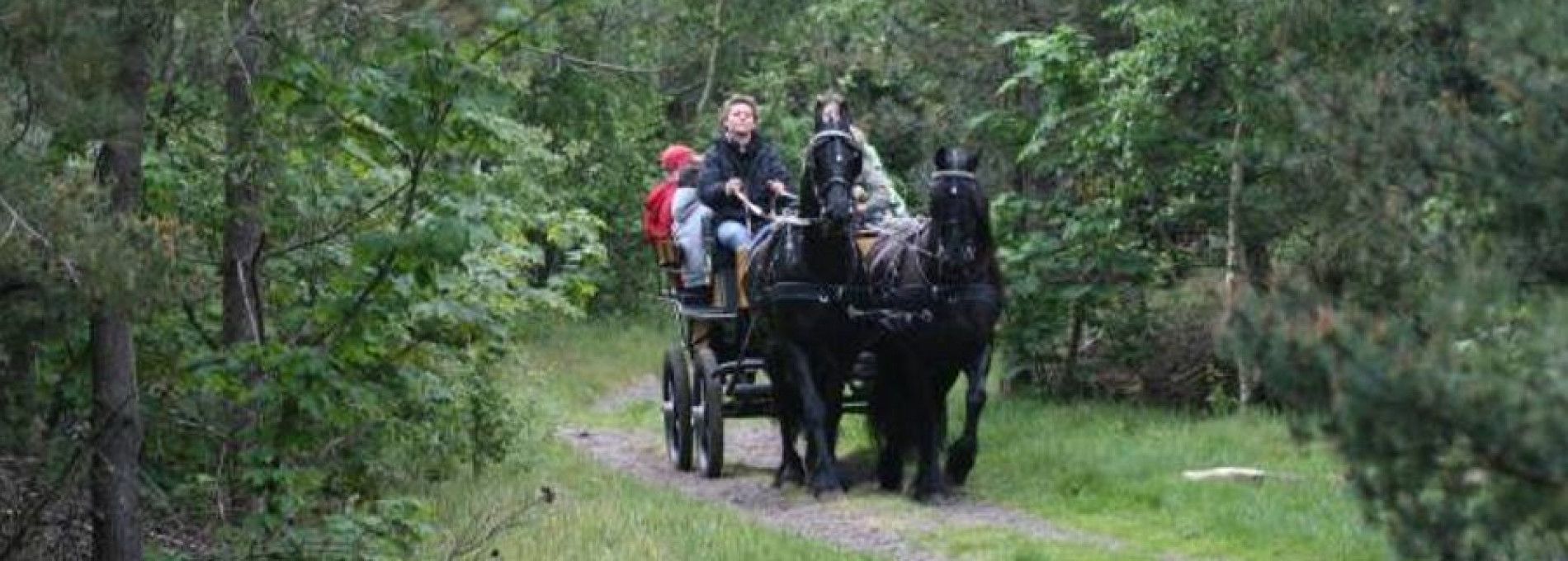 Stal van Buren - Gesellschaftskutschfahrten Vermietung - VVV Ameland