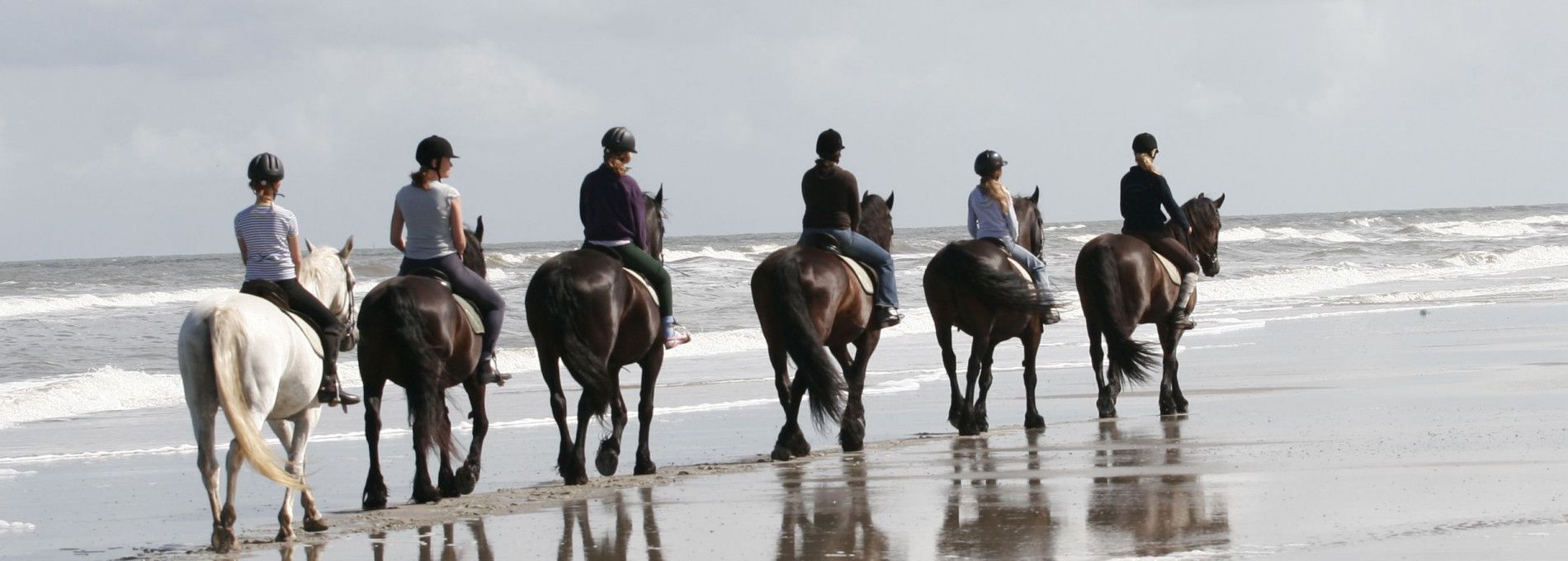 Reitstall 't Jutterspad - VVV Ameland