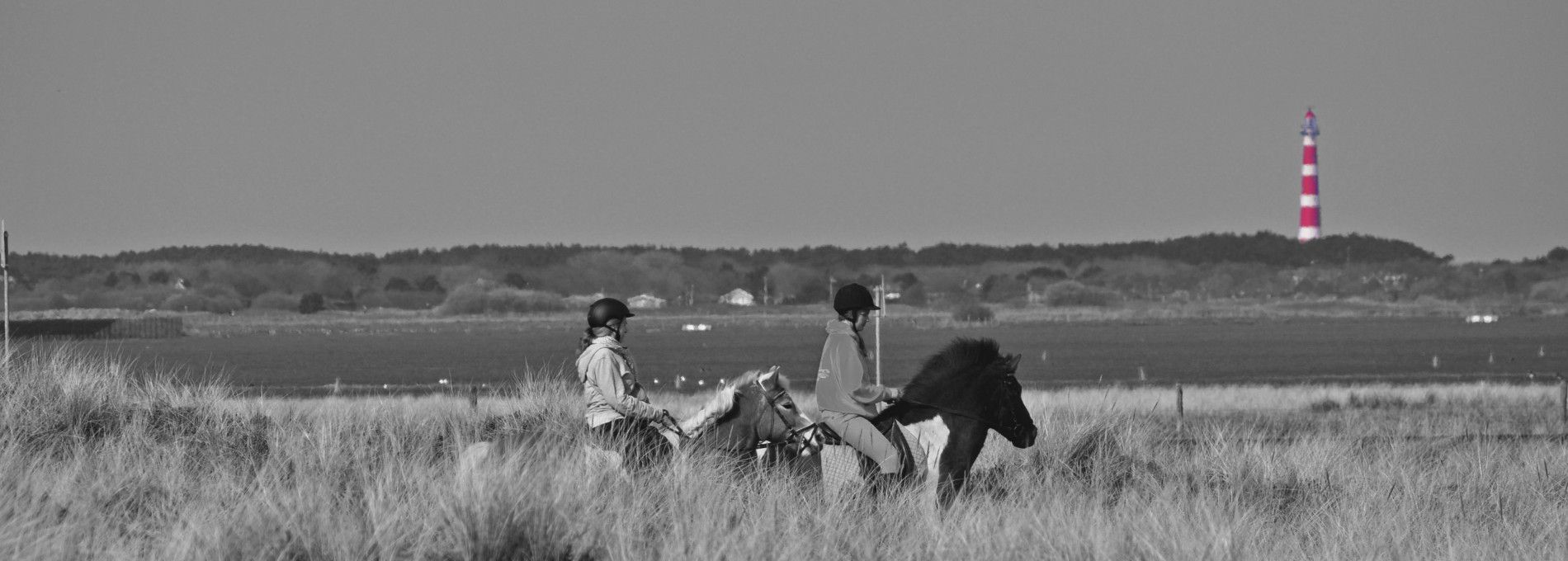 Reitstall Le Cheval - VVV Ameland