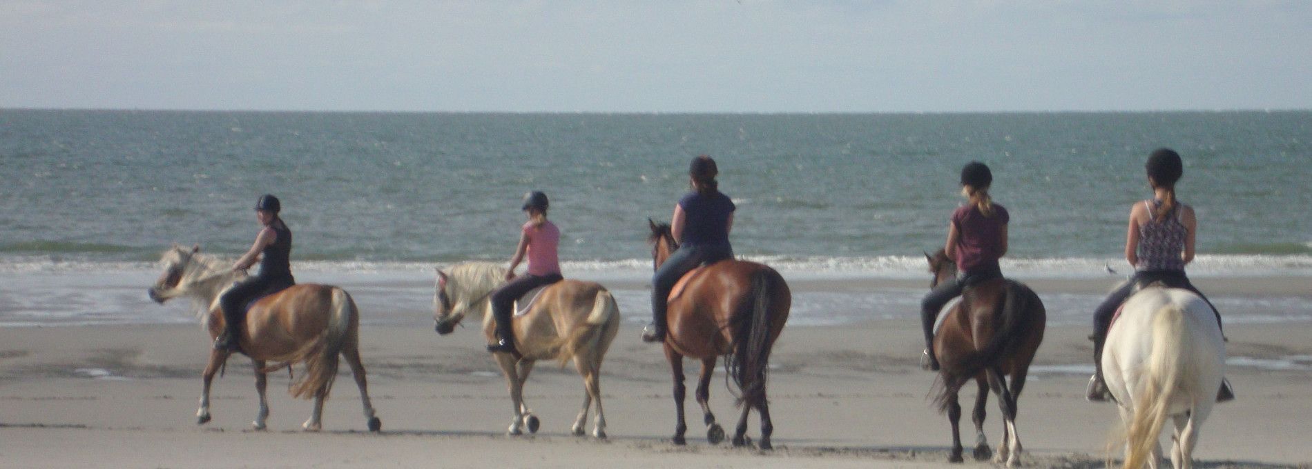 De Hollumer Trap - VVV Ameland