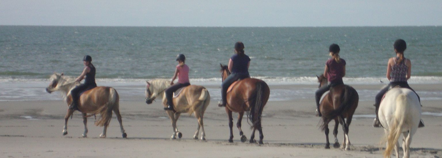 De Hollumer Trap - VVV Ameland