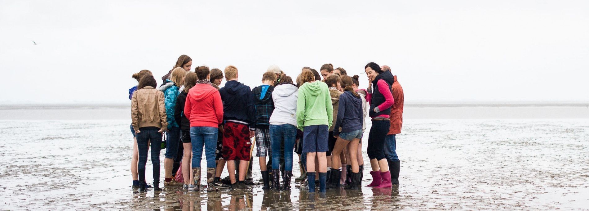 Wattexkursion - VVV Ameland