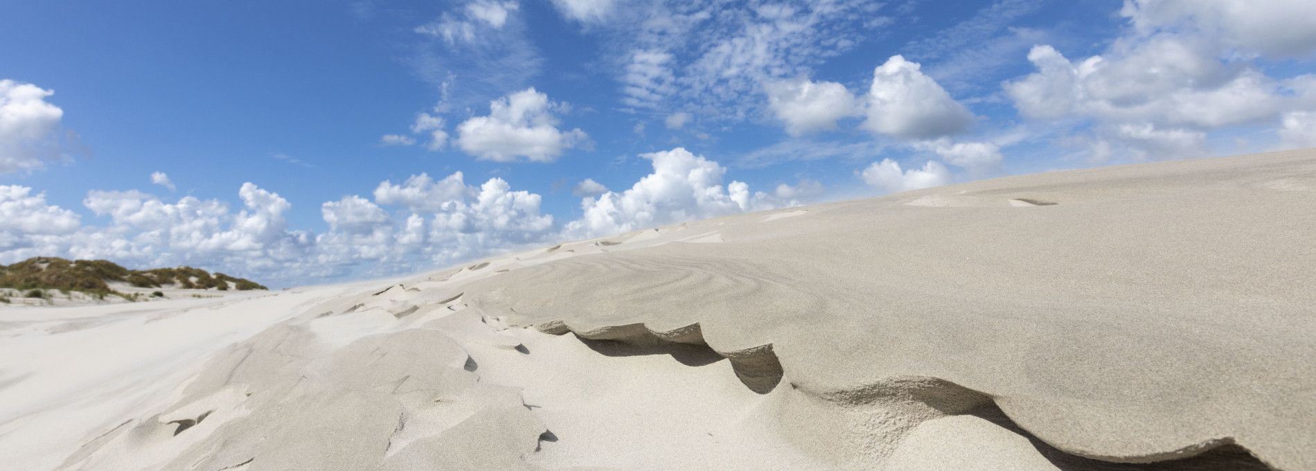 Strand- und Muschelexkursion - VVV Ameland