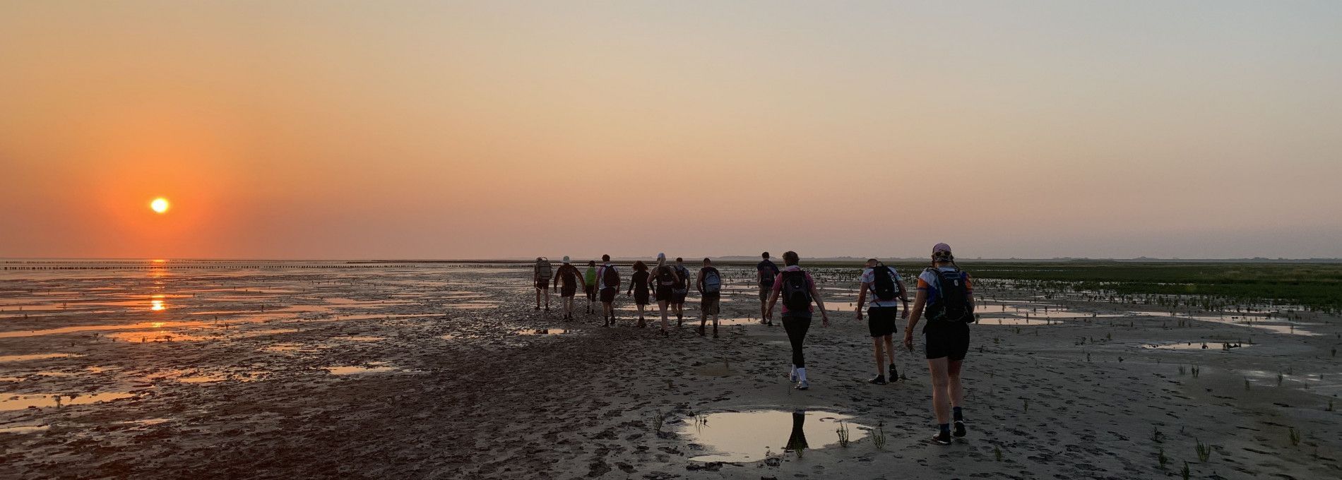 Wattenmeerstreifzug - VVV Ameland