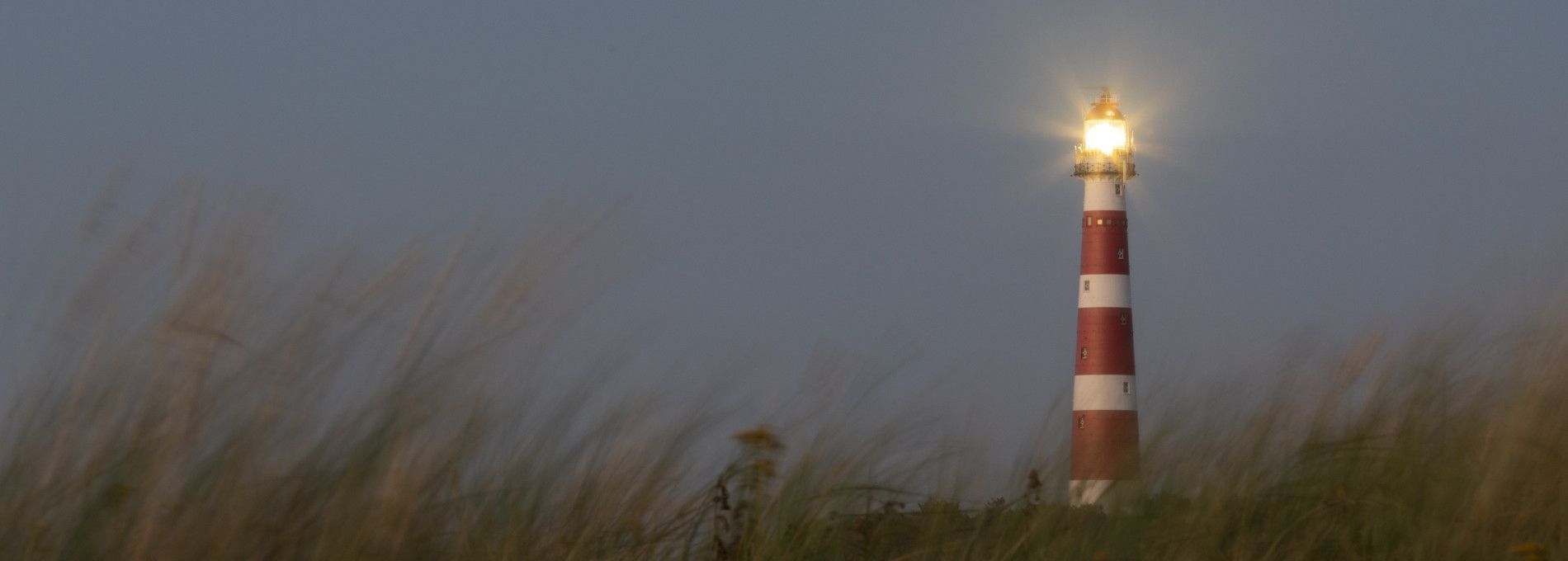 Wald, Strand und Leuchtturm - Foto: Anja Brouwer - VVV Ameland