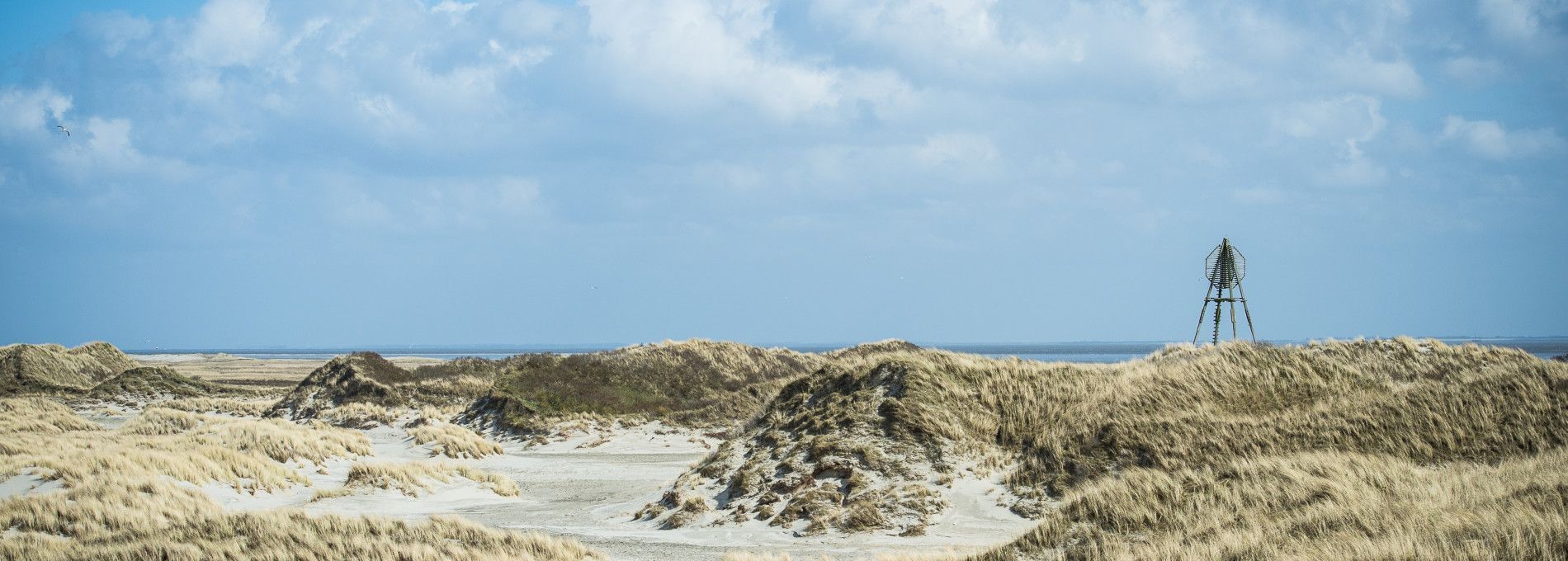 Haftungsausschluss - VVV Ameland