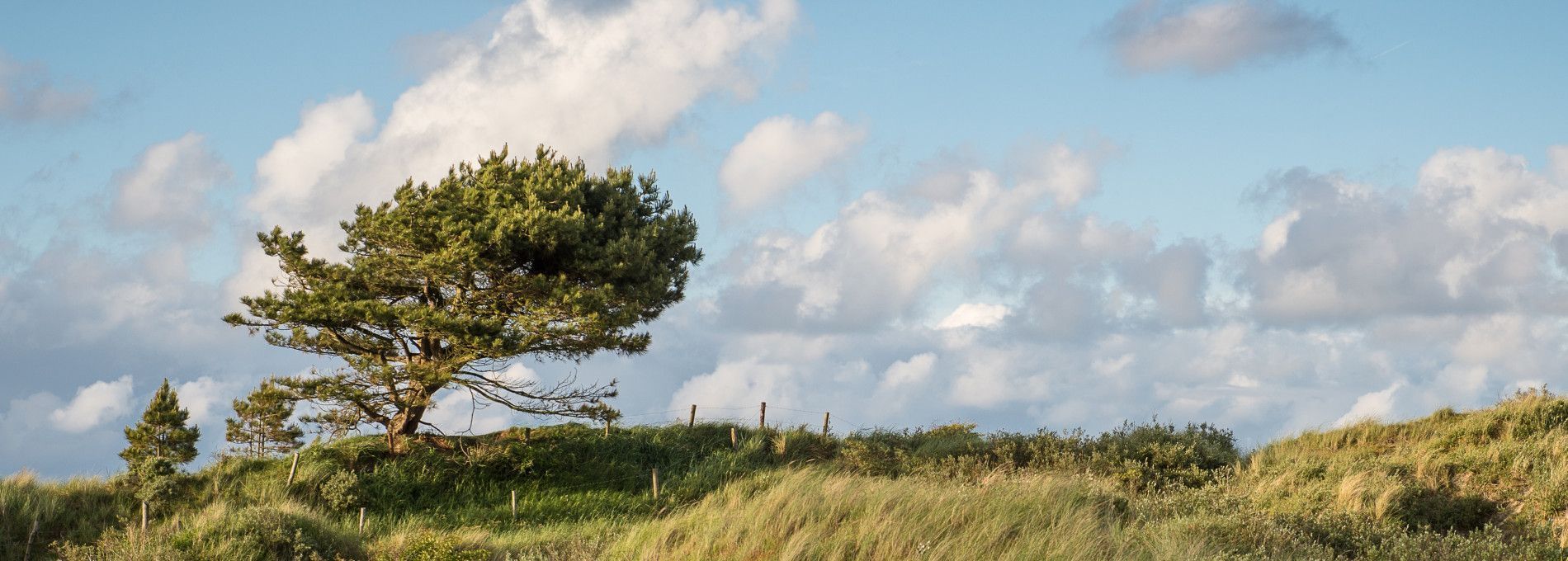 Datenschutz - VVV Ameland