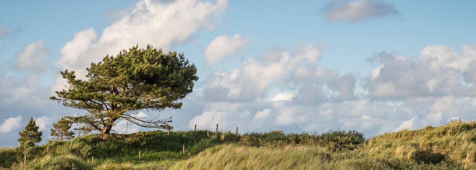 Datenschutz - VVV Ameland