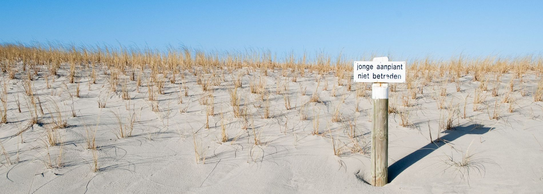 Fehler 404, Seite kann nicht gefunden werden - VVV Ameland