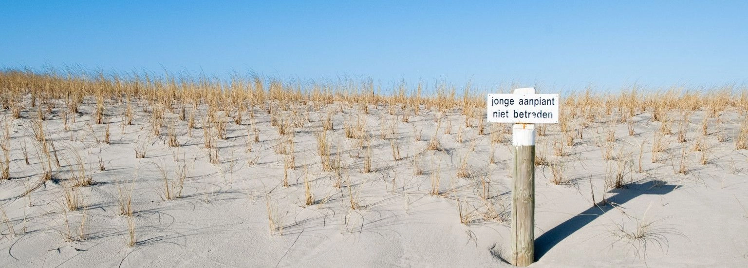 Fehler 404, Seite kann nicht gefunden werden - VVV Ameland