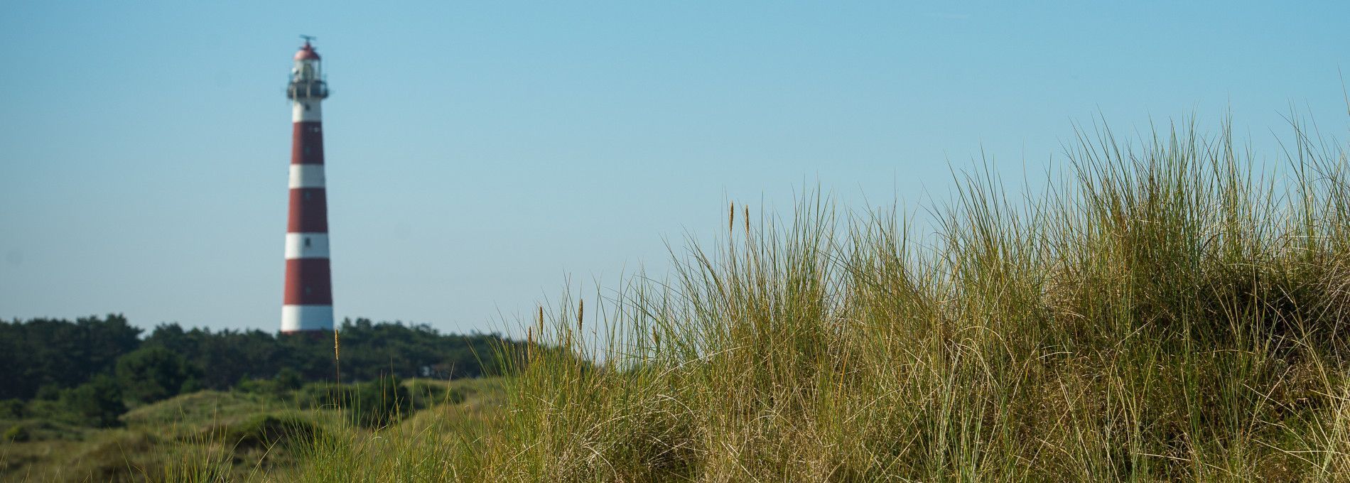 Über Ameland - VVV Ameland