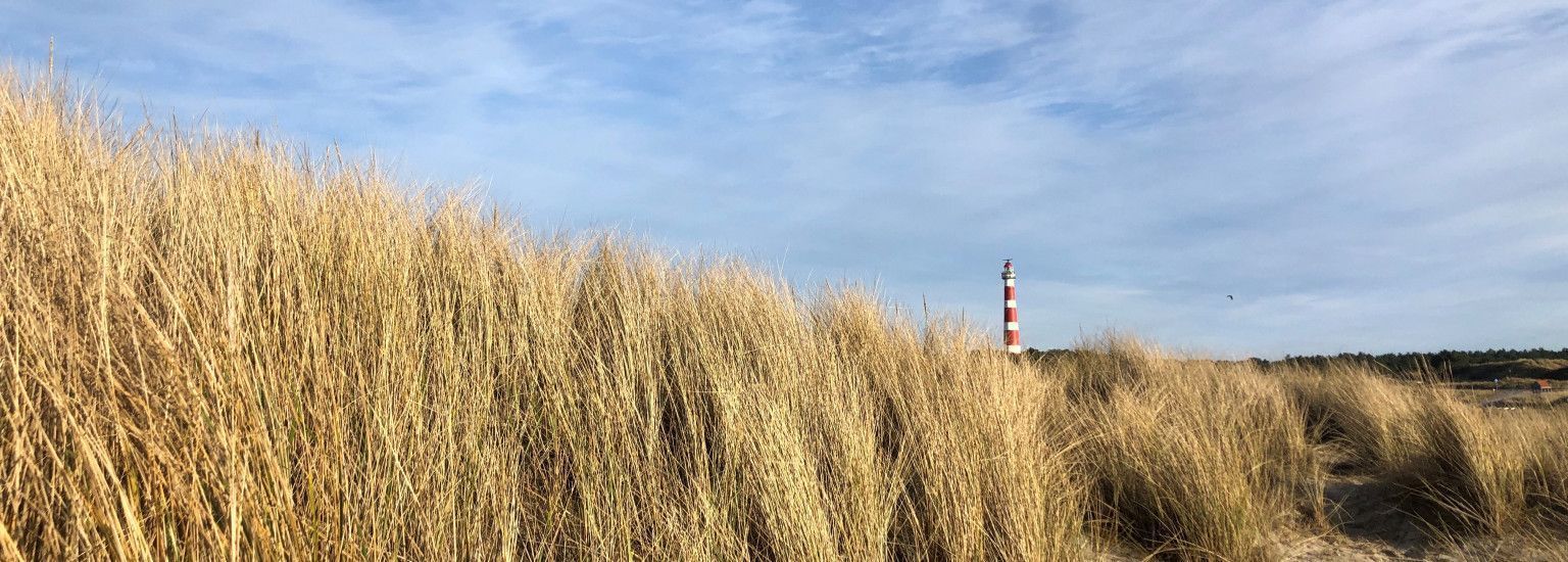Die Entstehung Amelands