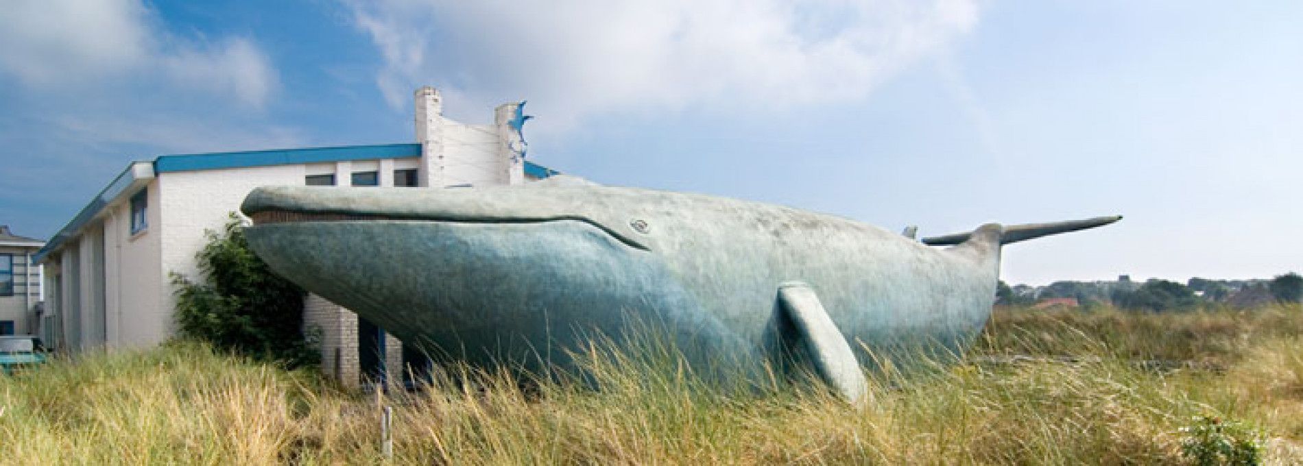 Der Walfang - VVV Ameland