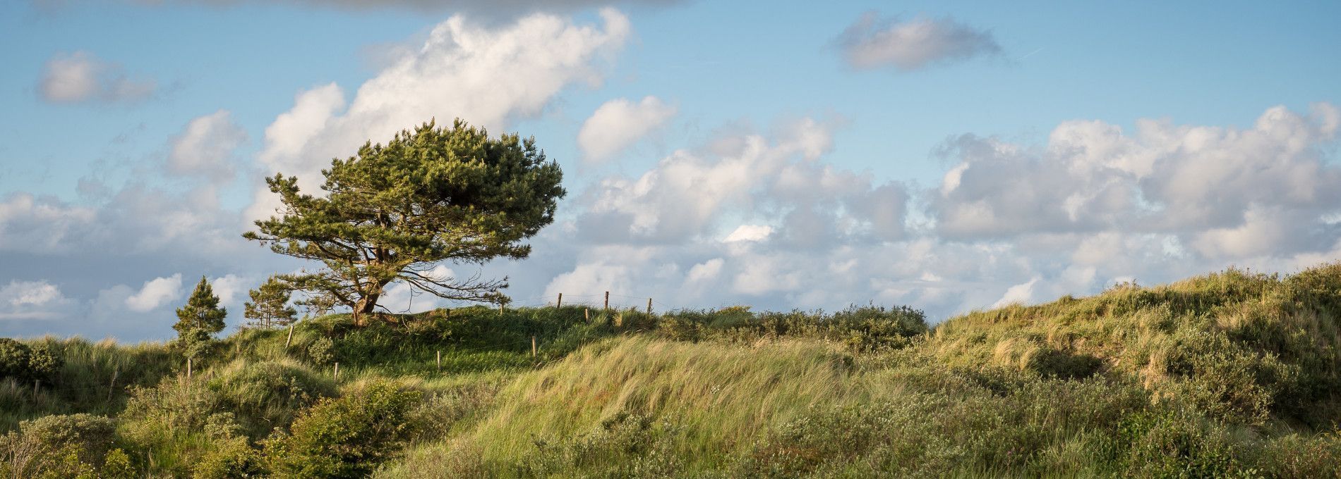 Flexboekverzoek - VVV Ameland