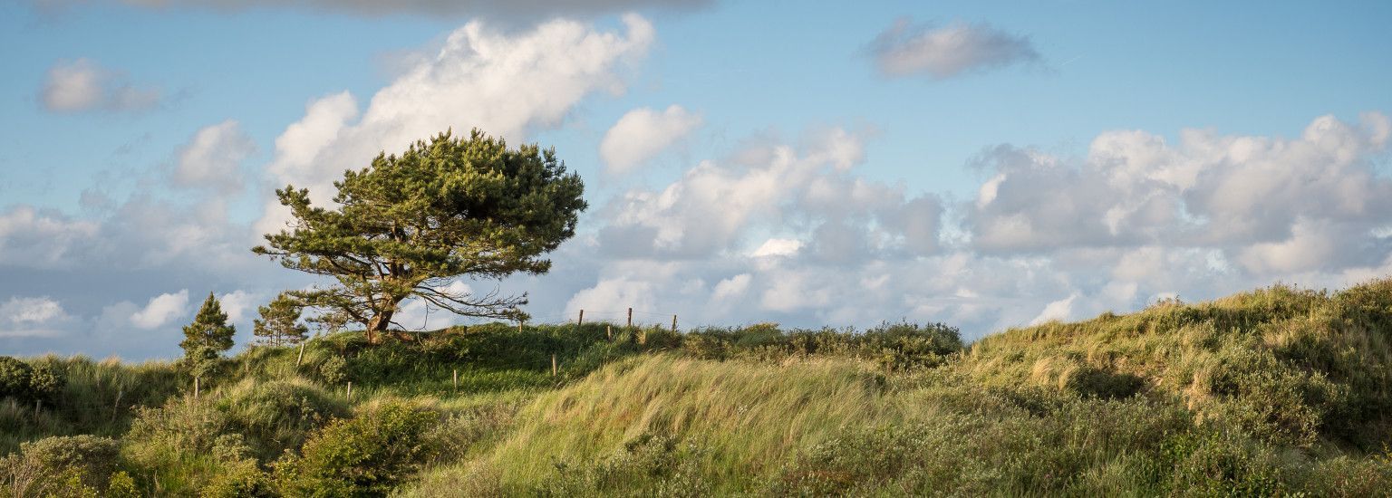 Flexboekverzoek - VVV Ameland