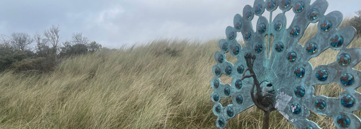 November Kunstmaand 2024 - VVV Ameland