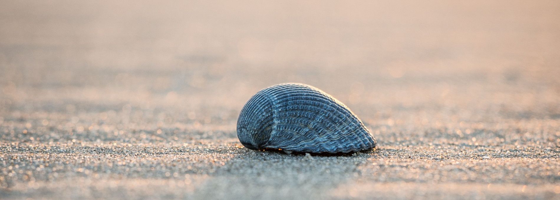 Drogerie Parfumerie Kienstra - VVV Ameland