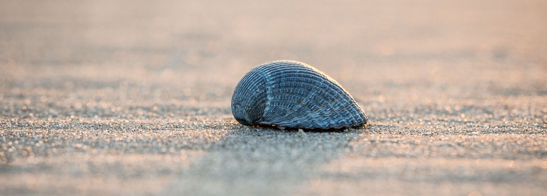 Drogerie Parfumerie Kienstra - VVV Ameland