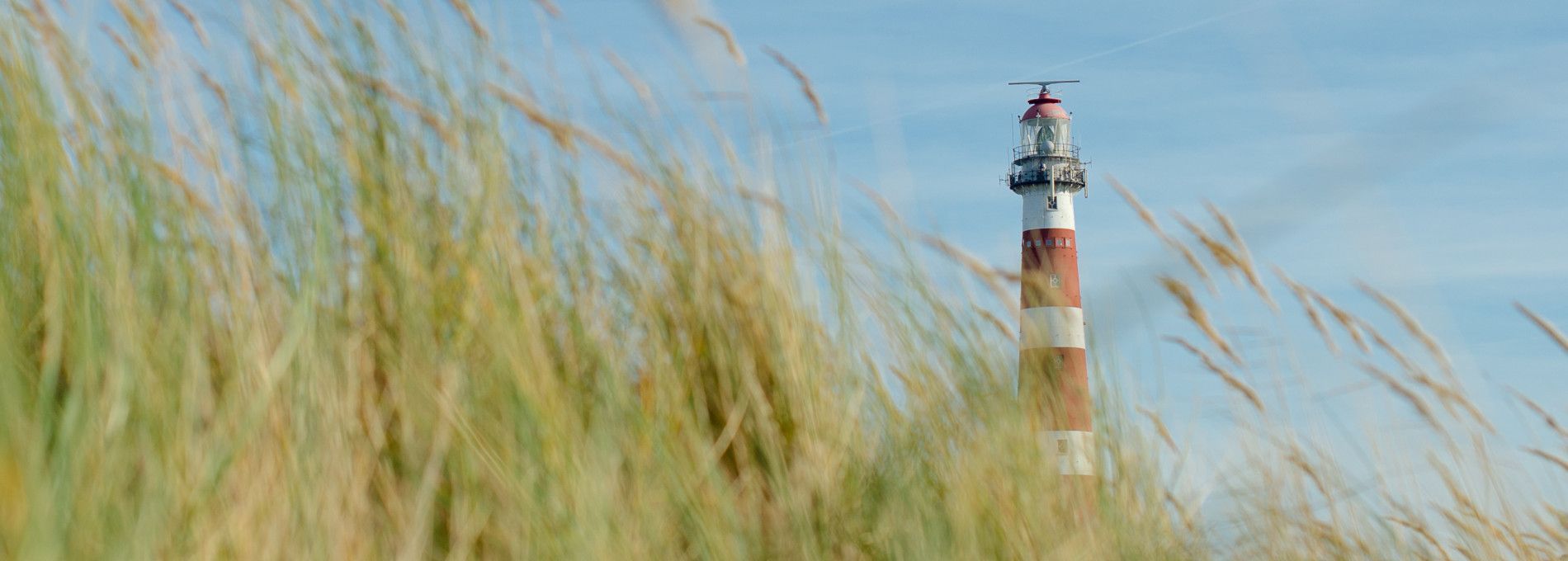 Amelander Produkte - VVV Ameland