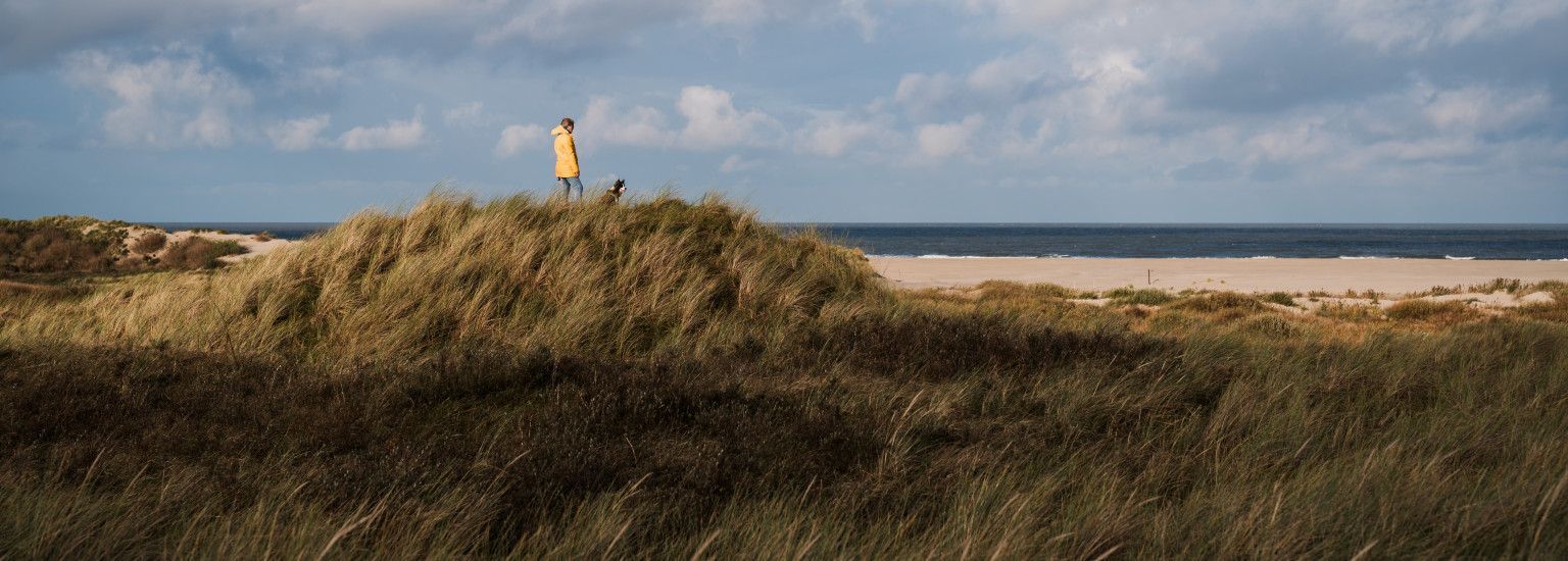 Die vier Jahreszeiten auf Ameland - VVV Ameland