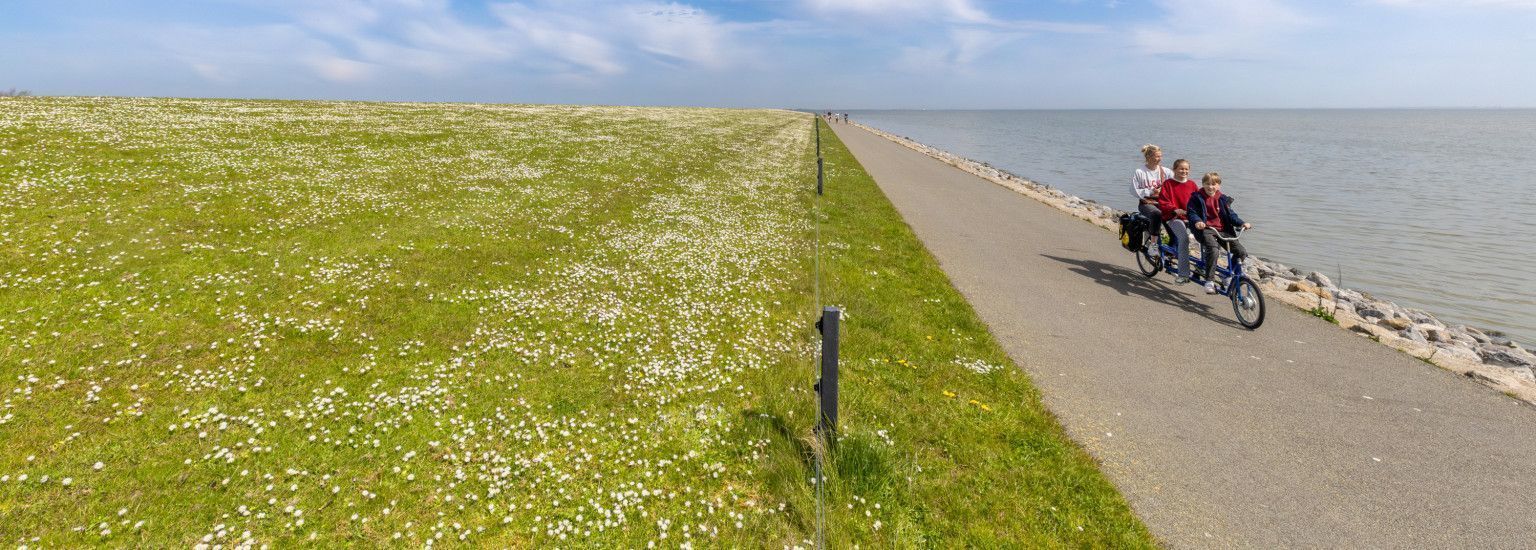 Fahrradrouten und Fahrradkarten auf Ameland - VVV Ameland