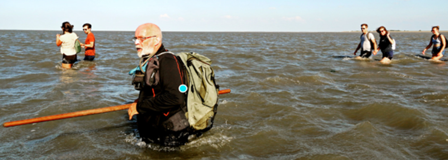 Wattwanderungen - VVV Ameland