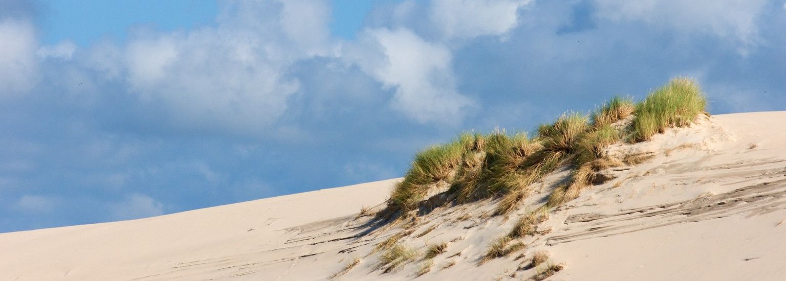 Tagesausflug Ameland: Inselgefühl an einem Tag - VVV Ameland