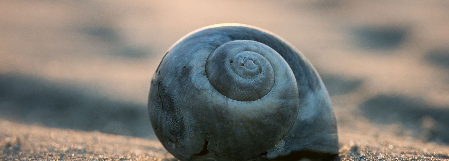 Ritskemoei - VVV Ameland