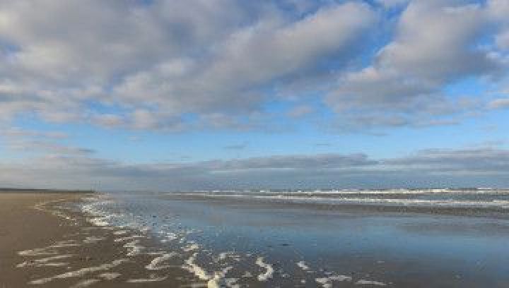 Nipptide - VVV Ameland