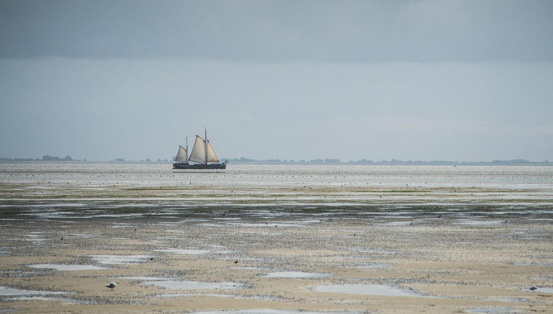 Rhythmus von Ebbe und Flut - VVV Ameland