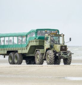 Lust auf etwas Schönes? - VVV Ameland