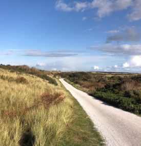 durch die Dünen... - VVV Ameland