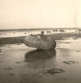 Ameland während des Zweiten Weltkriegs - VVV Ameland