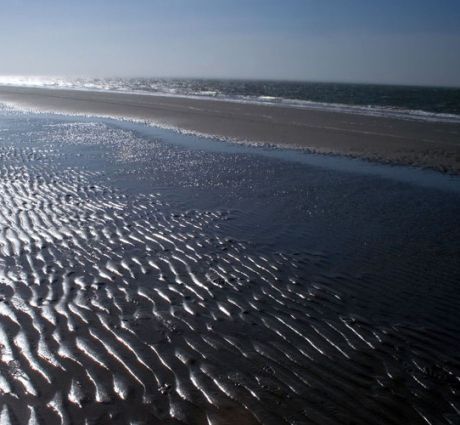 Wie soll man sich verhalten?  - VVV Ameland