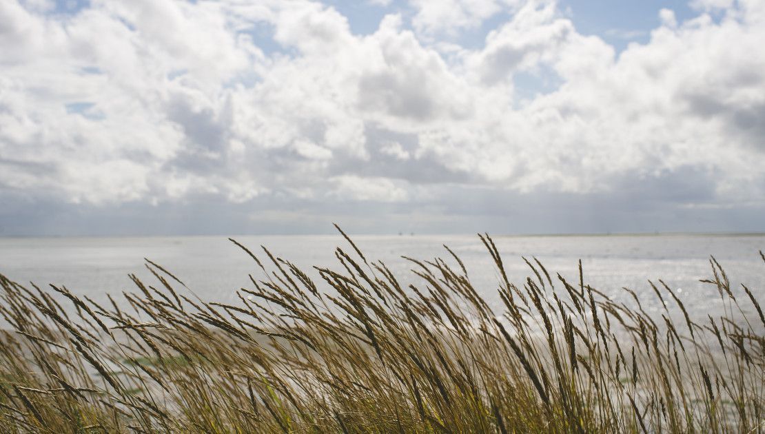 Unterschiede pro Standort - VVV Ameland