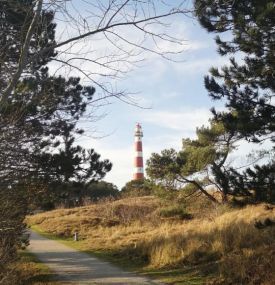 Einen Tag Ameland - VVV Ameland