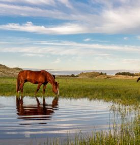 Draußen - VVV Ameland