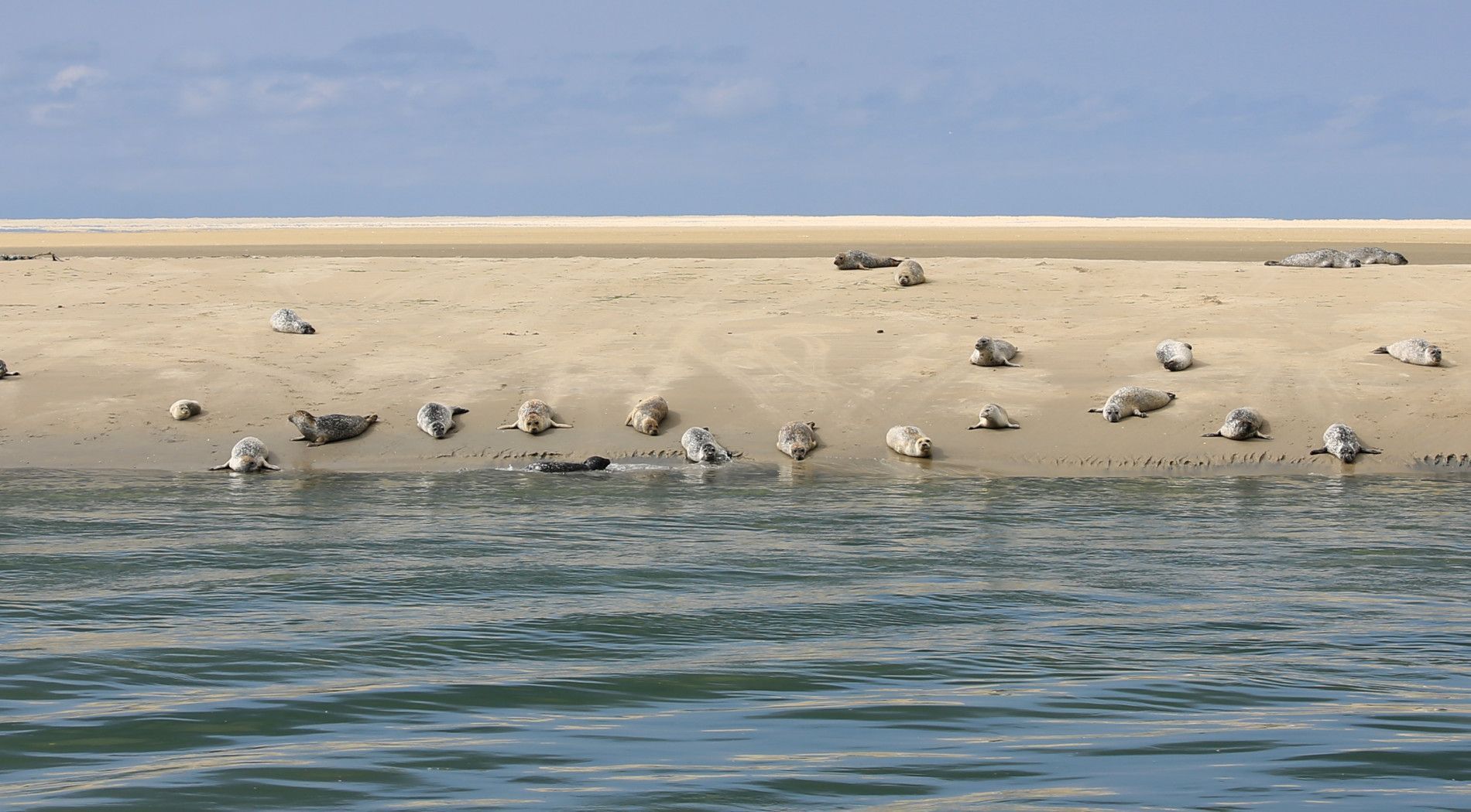 Inselhopping - VVV Ameland