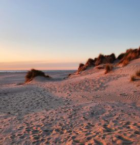 Goldene Momente - VVV Ameland