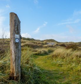 Ameland im Laufe der Jahre.... - VVV Ameland
